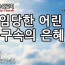 죽임당한 어린 양, 구속의 은혜 - 성현경목사 이미지