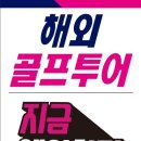 와이제이 여행사 이미지