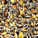 구포재첩국 이미지