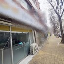 성당중학교 이미지