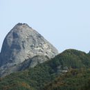 진안약국 이미지