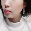 디아노이테 이미지