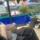 양미세탁소 이미지