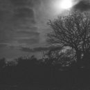 월평다라쿳당 이미지