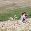 하연농장 이미지