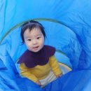 세아유통 | 푸드케어 클레 완료기 이유식 [이유식 3끼 스케줄] 리뷰/후기