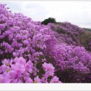 고려산주유소 이미지