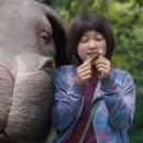 희봉선생 이미지