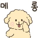 율무네애견 이미지
