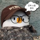 신계할머니 | 벌써 벚꽃시즌이야? 하지만 2월 일상인걸