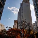 조원고등학교 인근 이미지