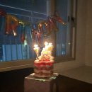 (주)대한무역 | 남해 먹부림 여행(+힙한식,배가네멸치쌈밥,때깔로무역 솔직후기)
