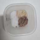 모전자전 - 창원시 마산합포구 | 6개월 아기 초기 이유식 거부 언제까지? 대처법, 극복 방법 및 후기