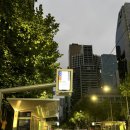 마시마을앞 | 🇦🇺 멜번 5: great ocean road