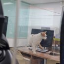 씨유 미남타운점 | 231022