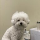 순독살롱 이미지