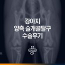 동탄중앙동물병원 | 오산동탄 동물병원 강아지 양측 슬개골탈구 수술 후기