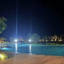 (유)그린렌트카 | 🩵 하지메마시떼 오키나와 🐳