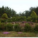 미륵원지 이미지