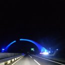 해남동물병원 | 광주장거리택시 전남 해남 스타리아 리무진 밴 운행 후기