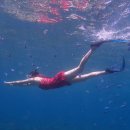 힐링 여행 | 보라카이 현지 호핑투어 종류 야무졌던 힐링여행 후기