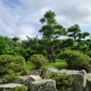 군자 낚시터 이미지