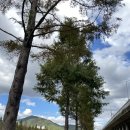 수영강변로1 이미지