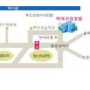 백제결혼정보 이미지