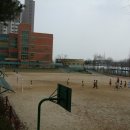 당수초교 이미지