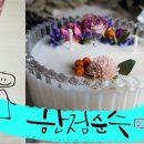 한점순수