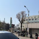 호수의원 | 동두천 가면 무조건 들러야 할 부대찌개 찐 맛집 | 호수식당 내돈내산 해장 후기