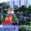 금빛가든 이미지