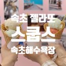 스쿱스젤라또 - 영등포구 여의대방로67길 8 | 강원도 속초 해수욕장 디저트 젤라또 아이스크림 맛집 스쿱스 후기