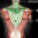 더피티짐 2호점 네이버블로그
