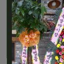 주은청설아파트앞 이미지