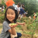 음봉초등학교 이미지