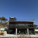 진이애견 | 남양주핸드드립카페 애견동반카페 남양주디저트카페 로영 후기