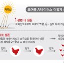 천안오골계농장 이미지