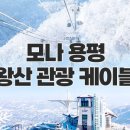 대인카프라자 이미지