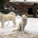 닥터홍 동물병원 이미지