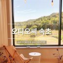 원커피 | ODOC 원데이원커피 후기 포토존가득 속초설안산뷰카페