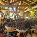 자연과사람들민박 이미지