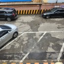 현대물텀벙이 이미지