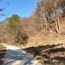 무릉도원면-28 이미지