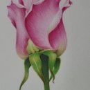 [주말]보테니컬 아트 이미지