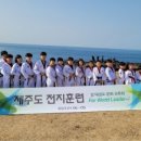 경희대 참태권도 이미지