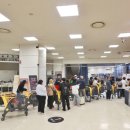 서프라이즈 이미지