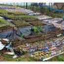 유목농장 이미지