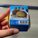 지에스(GS)25 강서한빛점 | GS25 신상 1+1 황치즈 두쫀볼·쿠쫀볼 솔직 후기! 기대했는데 아쉬웠던 편의점 과자✨