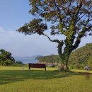 바다가 보이는 정원 이미지